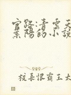 官路:青云天骄叶阳的小说