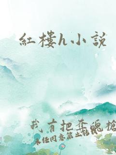 红楼h小说