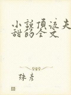 小说顶流夫妇超甜的全文