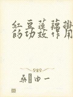 红豆莲藕排骨汤的功效作用