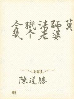 全职法师莫凡有几个老婆