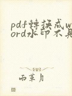 pdf转换成word水印不见了怎么办
