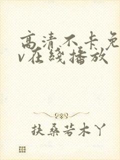 高清不卡免费av在线播放