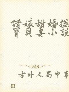 错嫁甜婚总裁的宝贝妻小说全文