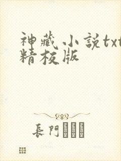 神藏小说txt精校版