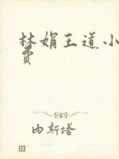 林娟王道小说免费