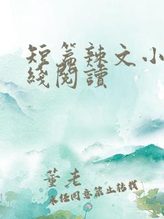 短篇辣文小说在线阅读