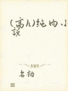 (高h)纯肉小说