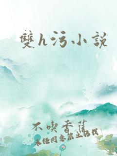 双h污小说