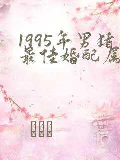 1995年男猪最佳婚配属相