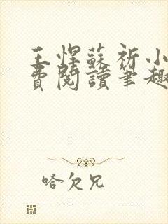 王悍苏祈小说免费阅读笔趣阁最新