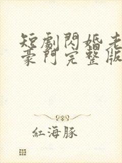 短剧闪婚老公是豪门完整版时长