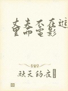 丈夫不在进入了里面电影