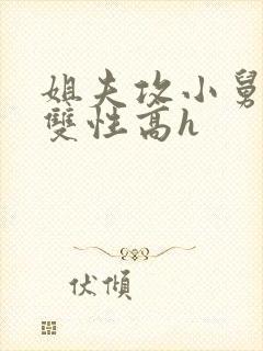 姐夫攻小舅子受双性高h