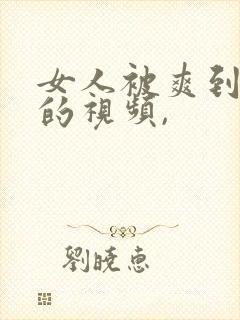 女人被爽到呻吟的视频,