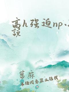 高h强迫np小说