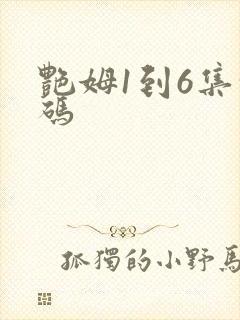艳姆1到6集转码