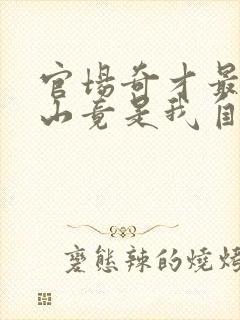 官场奇才最强靠山竟是我自己李澜免费全文