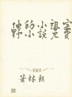 他的小祖宗甜又野小说免费阅读