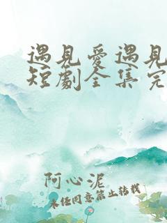 遇见爱遇见幸福短剧全集完整版