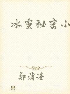 冰灵秘密小说