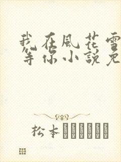 我在风花雪月里等你小说免费阅读