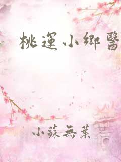 桃运小乡医