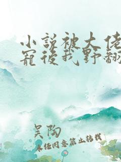 小说被大佬们团宠后我野翻了全文