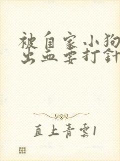 被自家小狗划伤出血要打针吗