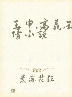 王申,高义,孙倩小说