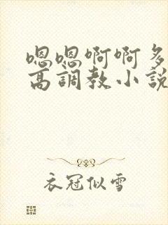 嗯嗯啊啊多人h高调教小说