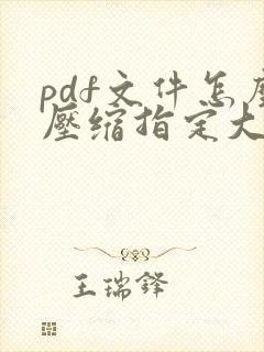 pdf文件怎么压缩指定大小