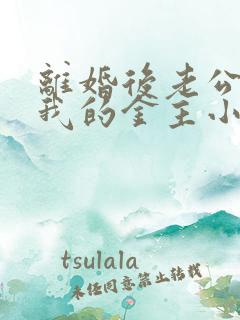 离婚后老公成了我的金主小说