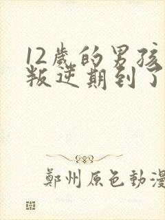 12岁的男孩子叛逆期到了吗