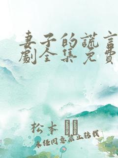 妻子的谎言电视剧全集免费完整