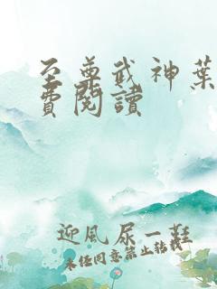 至尊武神叶天免费阅读