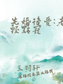 先婚后爱:老公轻点宠
