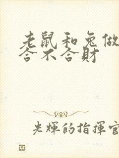 老鼠和兔做生意合不合财