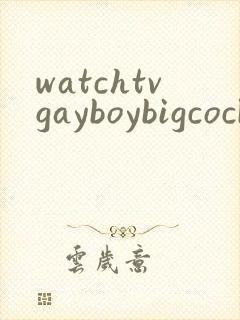 watchtvgayboybigcockvideo