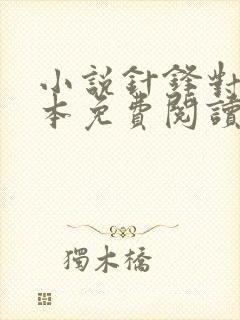 小说针锋对决完本免费阅读