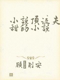 小说顶流夫妇超甜的小说