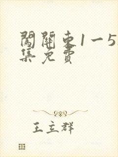 闯关东1一52集免费