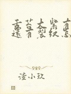 舌苔大紫有齿痕还有裂纹怎么治疗