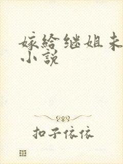 嫁给继姐未婚夫小说