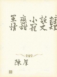 军恋小说推荐言情甜宠文短篇小说