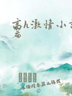 高h激情小说短篇