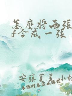 怎么将两张pdf合成一张
