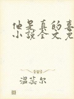 他是真的喜欢你小说全文免费阅读
