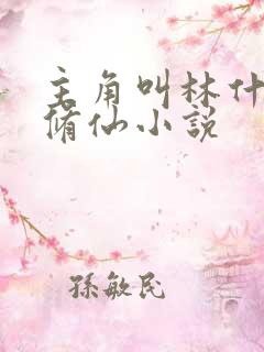 主角叫林什么的修仙小说