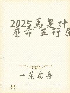 2025马是什么命 五行属什么